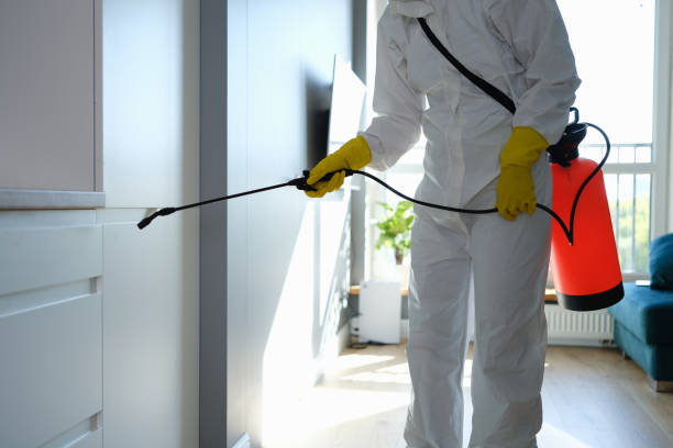 Best Residential Mold Removal  in Cutler Bay, FL